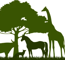 green silhouettes of a tree and safari animals